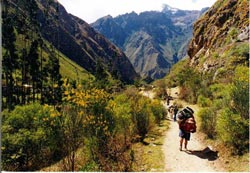 Porters carry up to 40kg for US$3 a day