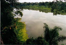 The lake with the giant otters